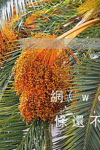 網(wǎng)貸愛白條不還款會怎樣(愛白條還不了款怎么回事)