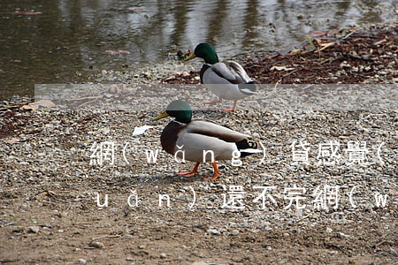 網(wǎng)貸感覺(jué)永遠(yuǎn)還不完(網(wǎng)貸感覺(jué)永遠(yuǎn)還不完怎么回事)