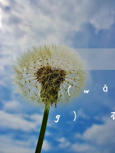 網(wǎng)貸我不想還了(欠網(wǎng)貸不想還了最嚴重會怎么樣)