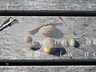 網(wǎng)貸我逾期被起訴到法院怎么知道-網(wǎng)貸我逾期被起訴到法院怎么知道的