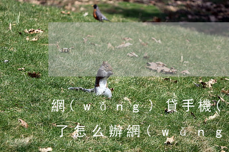 網(wǎng)貸手機(jī)逾期被起訴了怎么辦(網(wǎng)貸手機(jī)逾期被起訴了怎么辦)