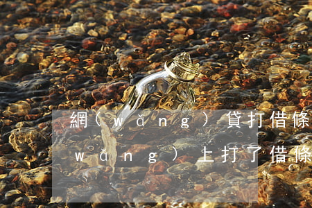 網(wǎng)貸打借條不還錢怎么辦(網(wǎng)上打了借條不還會怎么樣)