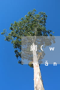 網(wǎng)貸扣款不成功為逾期嗎(網(wǎng)貸逾期什么后果)