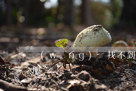 網(wǎng)貸找不到app還款沒有客服-
