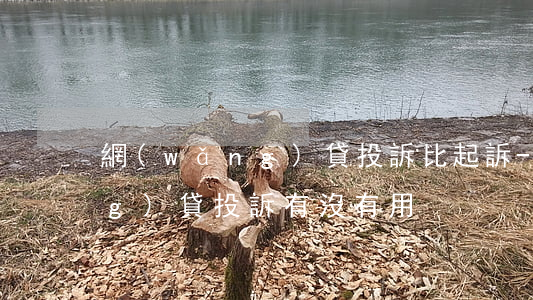 網(wǎng)貸投訴比起訴-網(wǎng)貸投訴有沒有用