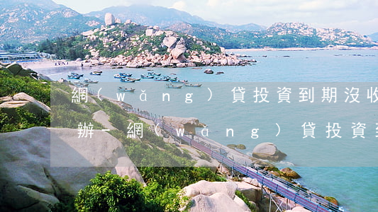 網(wǎng)貸投資到期沒收到還款怎么辦-網(wǎng)貸投資到期沒收到還款怎么辦呢