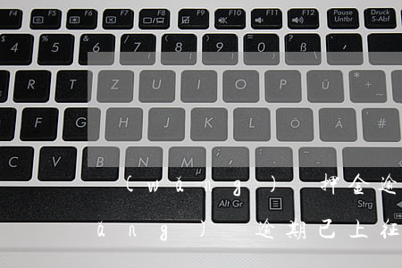 網(wǎng)貸押金逾期上征信嗎(網(wǎng)貸逾期已上征信該怎么辦)
