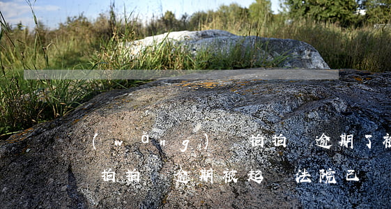 網(wǎng)貸拍拍貸逾期了被起訴怎么辦 拍拍貸逾期被起訴法院,已經(jīng)還了錢