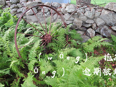 網(wǎng)貸拖欠被起訴怎么辦(網(wǎng)貸逾期被起訴無力償還怎么辦)