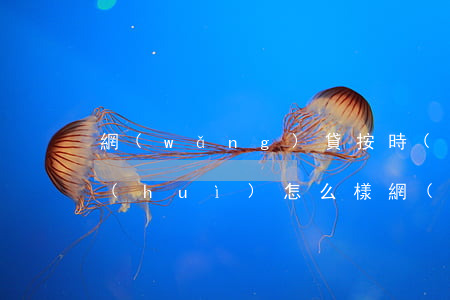 網(wǎng)貸按時(shí)不還錢會(huì)怎么樣(網(wǎng)貸不還錢會(huì)怎么樣?)
