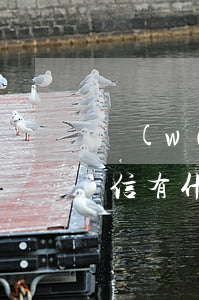 網(wǎng)貸按時(shí)還款上征信有什么影響-網(wǎng)貸按時(shí)還款上征信有什么影響嗎