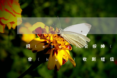網(wǎng)貸按時(shí)還款就不會(huì)收到短信嗎-網(wǎng)貸按時(shí)還款就不會(huì)收到短信嗎是真的嗎