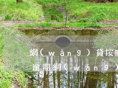 網(wǎng)貸按時(shí)還款沒有逾期(網(wǎng)貸從來沒有逾期過)