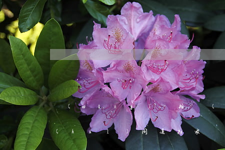 網(wǎng)貸按時(shí)還款還會(huì)同通知家屬嗎-