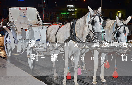 網(wǎng)貸按時還款征信記錄上能看到-網(wǎng)貸按時還款征信記錄上能看到嗎