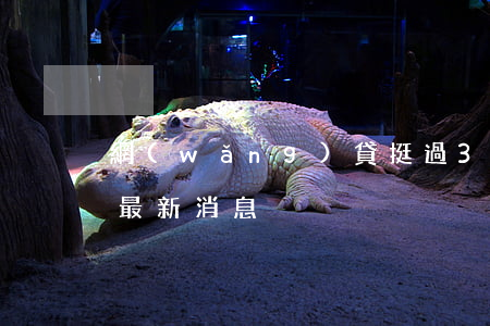 網(wǎng)貸挺過3年就沒事了（人人貸最新消息）