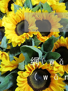 網(wǎng)貸捷信欠多少法院會受理(網(wǎng)捷貸起訴判下來的時間)