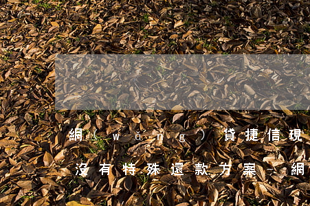 網(wǎng)貸捷信現(xiàn)在有沒有特殊還款方案-網(wǎng)貸捷信現(xiàn)在有沒有特殊還款方案了