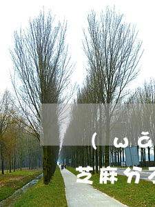 網(wǎng)貸授權(quán)不還扣芝麻分不(跟芝麻分掛鉤的網(wǎng)貸)