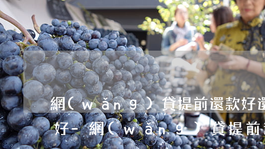 網(wǎng)貸提前還款好還是自動扣款好-網(wǎng)貸提前還款好還是自動扣款好呢