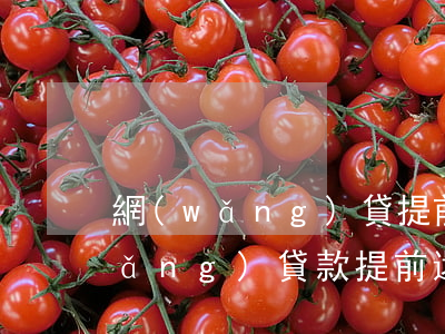 網(wǎng)貸提前還還不起利息 網(wǎng)貸款提前還款不能減利息怎么辦