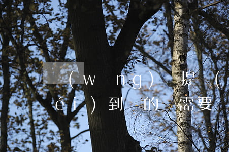 網(wǎng)貸提現(xiàn)沒(méi)到賬的話需要還款嗎-網(wǎng)貸提現(xiàn)沒(méi)到賬的話需要還款嗎怎么辦