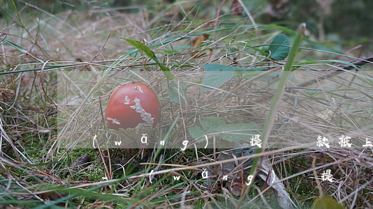 網(wǎng)貸提錢還款被上征信怎么投訴-網(wǎng)貸提錢還款被上征信怎么投訴他