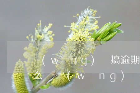 網(wǎng)貸搞逾期了會(huì)怎么樣(網(wǎng)貸逾期如何處理比較好)