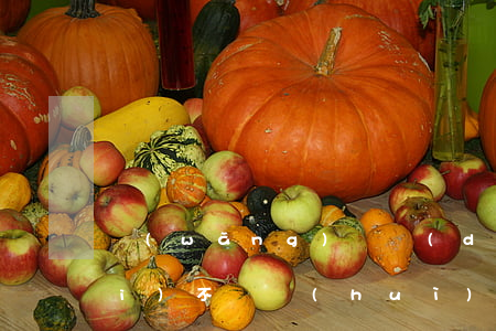 網(wǎng)貸擔(dān)保費(fèi)不還會(huì)怎么樣(網(wǎng)貸中擔(dān)保費(fèi)可否拒絕支付)