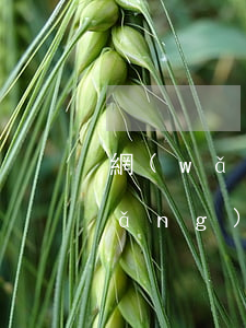 網(wǎng)貸支付寶逾期兩年了(網(wǎng)貸支付寶逾期兩年了怎么辦)