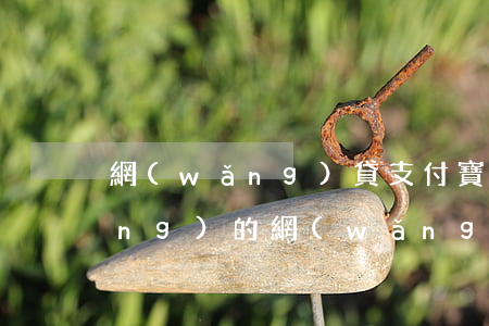 網(wǎng)貸支付寶逾期能申請(qǐng)的(網(wǎng)貸支付寶逾期能申請(qǐng)的)