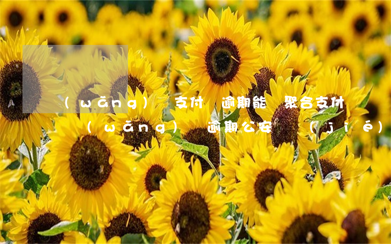 網(wǎng)貸支付寶逾期能辦聚合支付嗎(網(wǎng)貸逾期公安凍結(jié)支付寶)