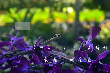 網(wǎng)貸支持起訴嗎(網(wǎng)貸能起訴到法院嗎)