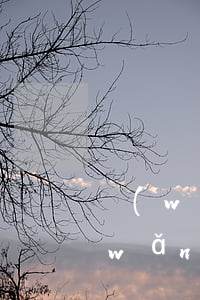 網(wǎng)貸收到了逾期的律師函(網(wǎng)貸逾期后收到律師函)