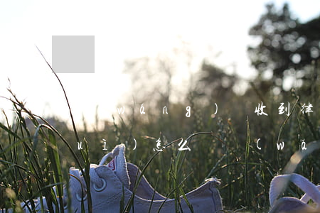 網(wǎng)貸收到律師函了不還會(huì)怎么樣(網(wǎng)貸收到律師函應(yīng)該怎么處理)