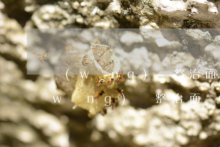 網(wǎng)貸整治面臨逾期怎么辦(網(wǎng)貸整治面臨逾期怎么辦)