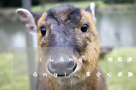 網(wǎng)貸明天逾期了怎么辦(網(wǎng)貸不小心逾期一天怎么辦及時(shí)還了)