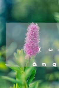 網(wǎng)貸是否會起訴欠款人（網(wǎng)貸是否會起訴）