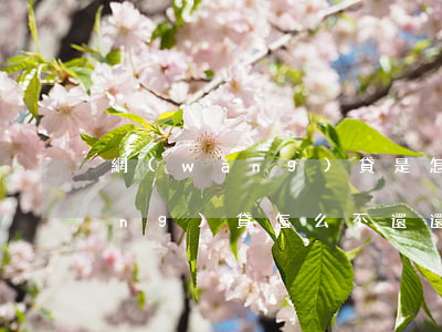 網(wǎng)貸是怎么還不起的 網(wǎng)貸怎么不還還不犯法