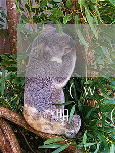 網(wǎng)貸晚還一個(gè)月算逾期嗎(網(wǎng)貸逾期一個(gè)月嚴(yán)重嗎)