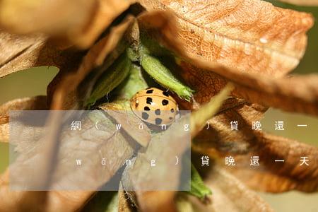 網(wǎng)貸晚還一天會催收嗎-網(wǎng)貸晚還一天會催收嗎知乎