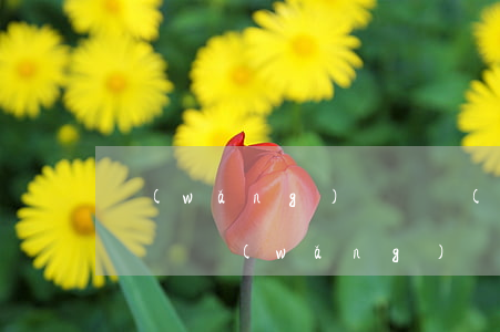 網(wǎng)貸暫時(shí)逾期有影響嗎(網(wǎng)貸逾期幾天會(huì)不會(huì)影響以后的貸款)