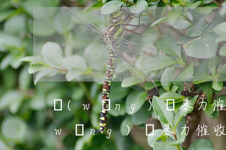 網(wǎng)貸暴力催收投訴渠道6(網(wǎng)貸暴力催收投訴電話)