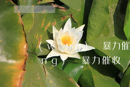 網(wǎng)貸暴力催收辱罵家人(網(wǎng)貸暴力催收騷擾家人違法嗎)