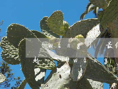 網(wǎng)貸最低多少錢會(huì)起訴(網(wǎng)貸最低多少會(huì)被起訴)