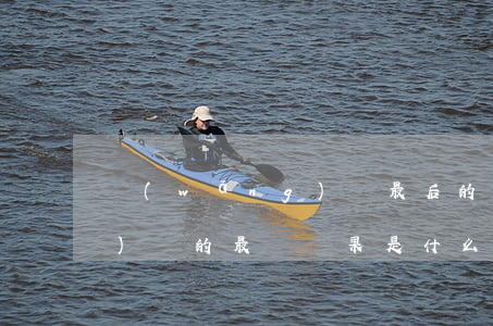 網(wǎng)貸最后的結局(網(wǎng)貸的最終結果是什么)