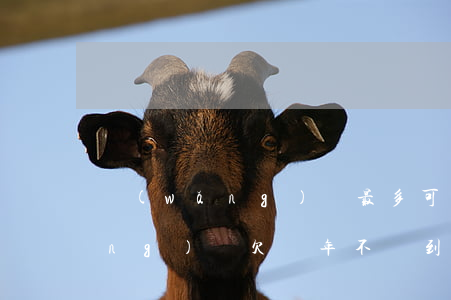 網(wǎng)貸最多可以欠幾年(網(wǎng)貸欠幾年不還到底有多嚴(yán)重)