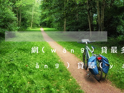 網(wǎng)貸最多可以逾期幾年(網(wǎng)貸嚴(yán)重逾期幾年可以消除)