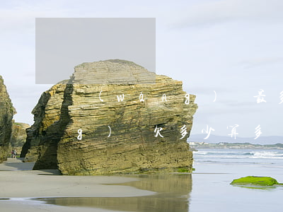 網(wǎng)貸最多能欠多久(網(wǎng)貸欠多少算多)