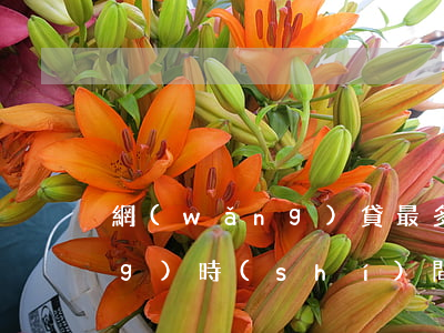 網(wǎng)貸最多能欠多長(zhǎng)時(shí)間(網(wǎng)貸最多能欠多久)